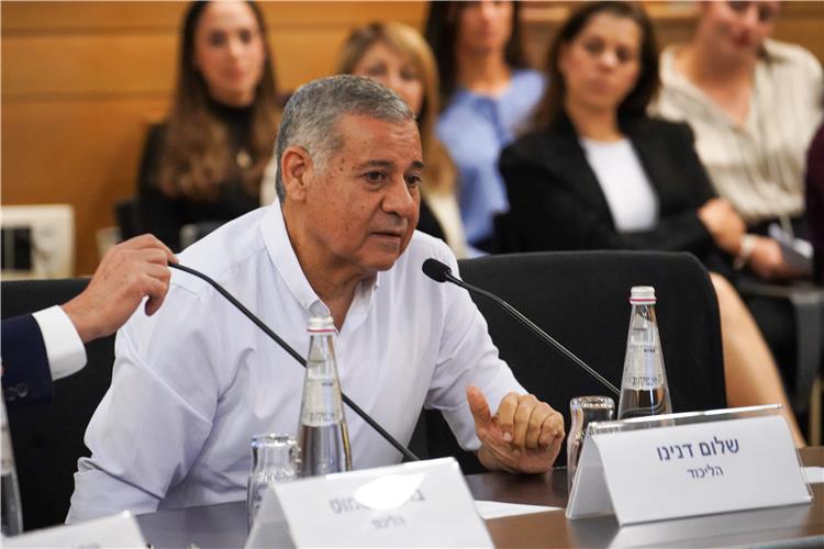 חבר הכנסת שלום דנינו (צילום: דני שם-טוב, דוברות הכנסת) חבר הכנסת שלום דנינו (צילום: דני שם-טוב, דוברות הכנסת)