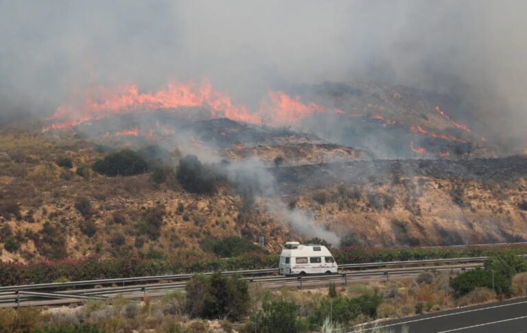 רכב מנסה להימלט מהשריפה בדרום מזרח ספרד (צילום: רויטרס)