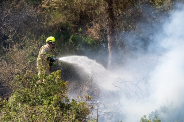 לוחם אש נאבק בלהבות ובעשן הסמיך במהלך פעולות הכיבוי בשטח הפתוח סמוך ליישוב שמשית (צילום: טל סורסקי / כבאות והצלה לישראל)