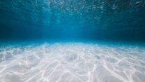קרקעית האוקיינוס (צילום אילוסטרציה: Shutterstock)