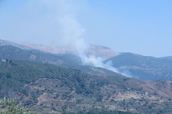צה"ל: חוסל מפקד בכיר ביחידת בדר של חיזבאללה בדרום לבנון