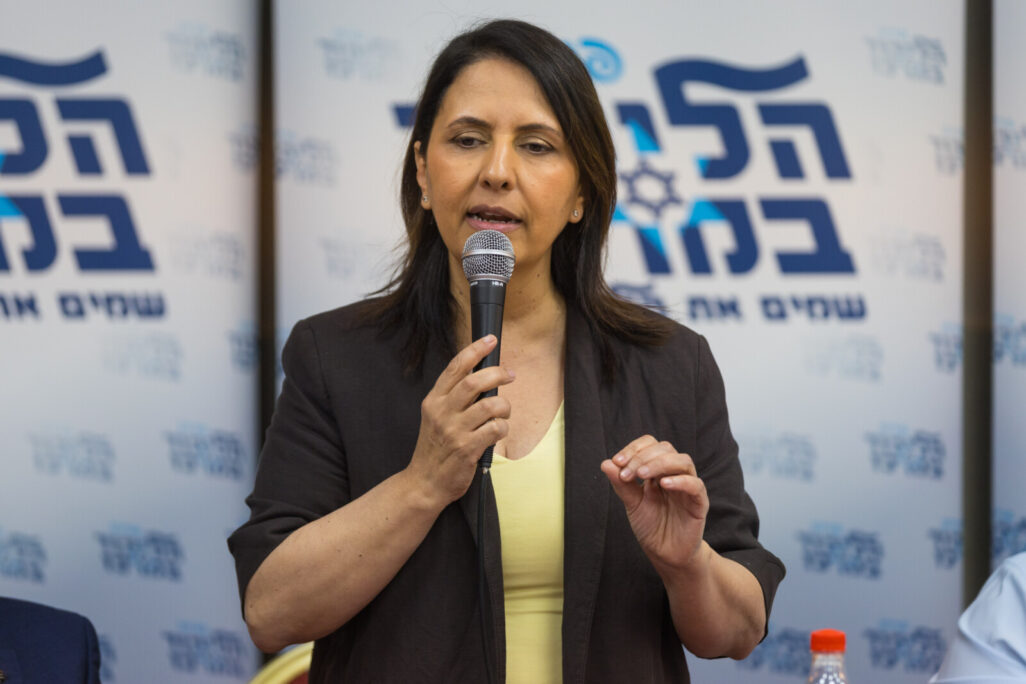 גילה גמליאל (צילום: לירון מולדובן/ פלאש 90)