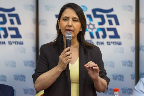 גילה גמליאל (צילום: לירון מולדובן/ פלאש 90)