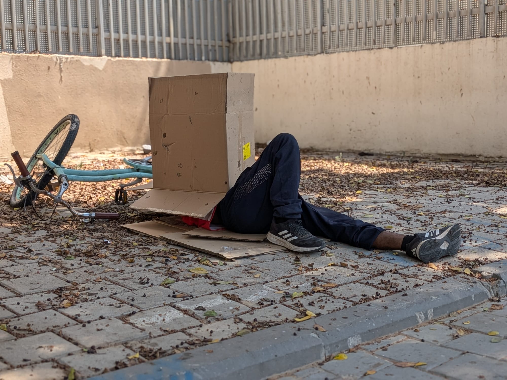 דר רחוב בתל אביב (צילום: יהל פרג') דר רחוב בתל אביב (צילום: יהל פרג')