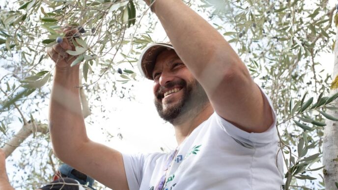 אנטון גודמן, מנכ"ל בפועל של קול רבני לזכויות אדם, במהלך מסיק זיתים בגדה המערבית (צילום: קול רבני לזכויות אדם)
