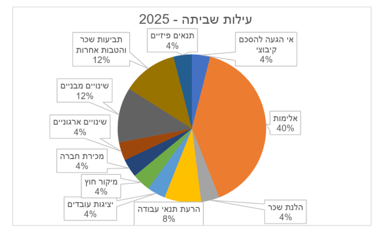 עילות לשביתה ב-2025 (מקור: משרד העבודה)