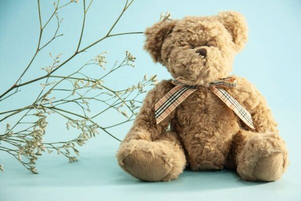 teddy bear (קרדיט: Karen Laårk Boshoff באתר PEXELS)