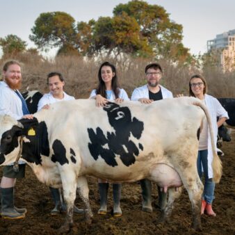 צוות המחקר. מימין: נוי לסמן, ד"ר אורן פורקוש, ברבורה ולניצ'קובה, דמיאן סטוינוב, יהלי גוטמן . ד"ר אורן פורקוש: "בעלי חיים אי אפשר לשאול שאלות. זה מכריח אותך לפענח מה זה אושר בצורות אחרות" (צילום: יונתן בלום)