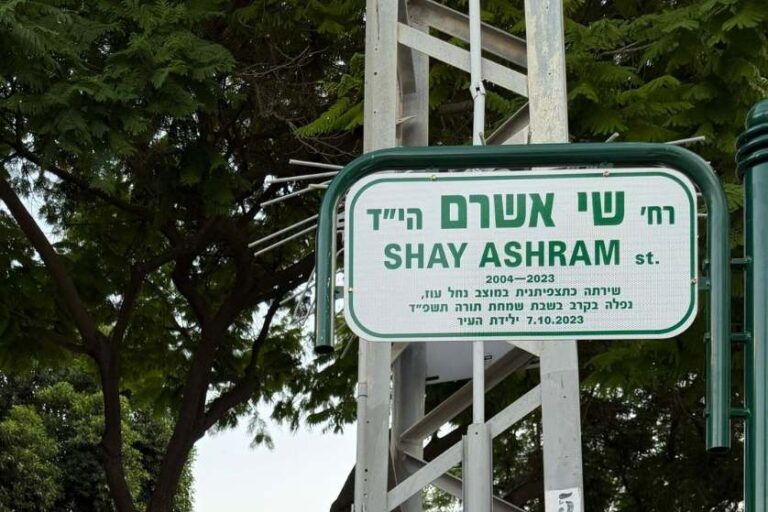 שלט של רחוב שי אשרם (צילום: עיריית רחובות)