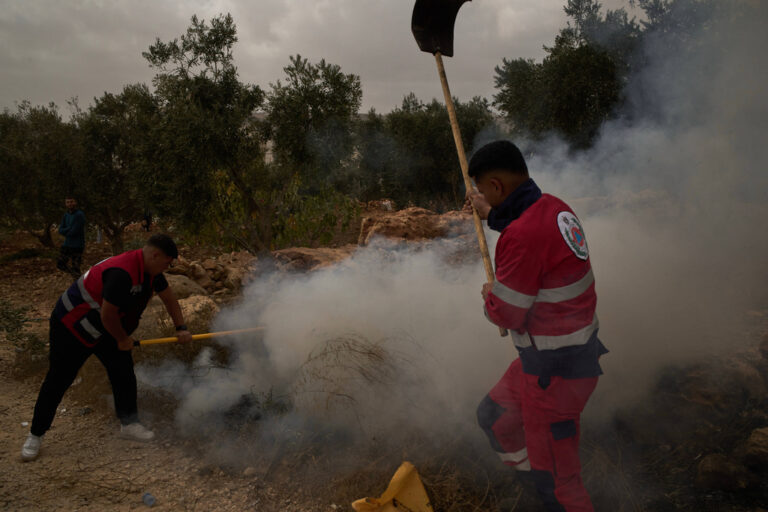 פלסטינאים מנסים לכבות עצי זית שהוצתו על ידי פורעים במהלך מסיק באזור רמאללה (צילום: AP Photo/Leo Correa)