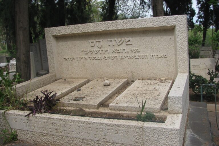 קבר משה הס ובני משפחתו בבית הקברות כנרת (צילום: יהודית גרעין-כל, מתוך ויקימדיה)