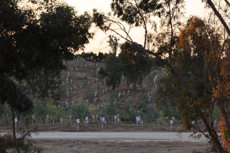אנדרטה לזכר נרצחי שבעה באוקטובר (צילום: זיו ברק)