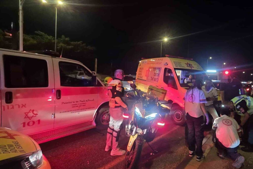 זירת התאונה (צילום: תיעוד מבצעי מד"א)
