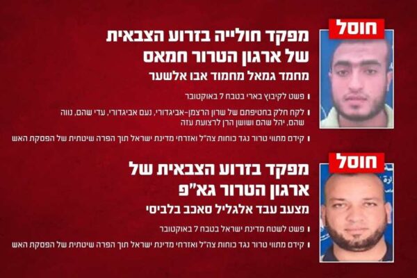 המחבלים מחמד ג'מאל מחמוד אבואלשער (למעלה), ומצעד עבד אל גליל סאכב בלביסי (צילום: דובר צה"ל)