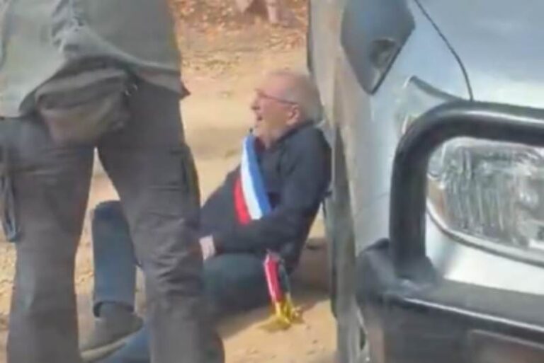 חבר במשלחת הדיפלומטים האירופים שהותקפה סמוך לכפר טייבה בבנימין (צילום מסך מסרטון של עמית אורפלי)